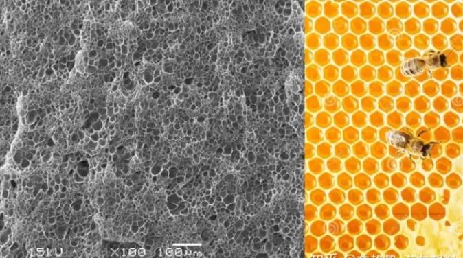 epp發泡聚丙烯(xī)的顯微結構，可以(yi)看到這是種連續(xù)閉孔結構，類似于(yu)蜂窩