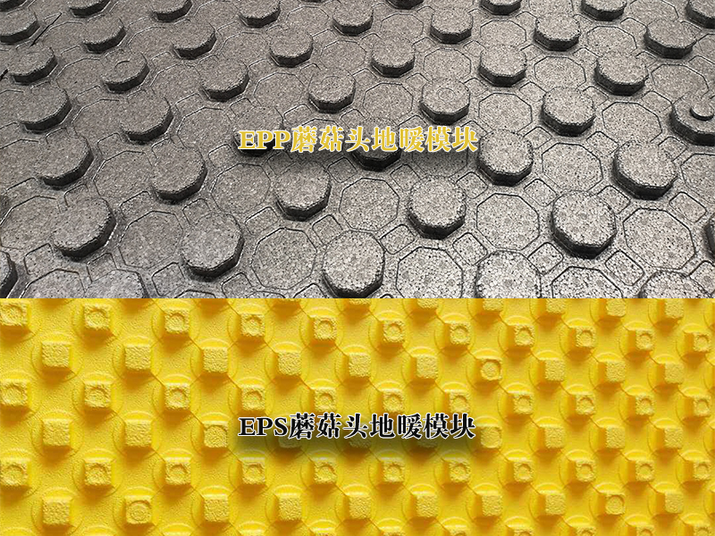 eps蘑菇闆(pan)epp蘑菇闆對比(bi)圖 eps蘑菇闆epp蘑(mó)菇闆對比圖(tu)